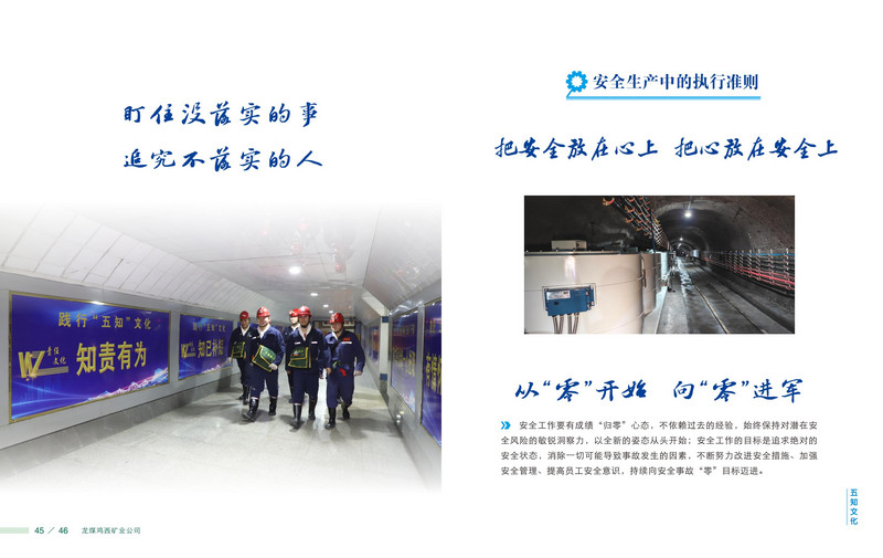 龙煤   画册Q_26.jpg